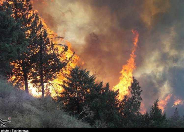 آتش‌سوزی‌های تابستانی تهدیدی جدی برای بهبودی لایه ازن