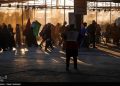 بازگشت زائران عتبات از عراق/ ازدحام جمعیت در زرباطیه+ فیلم